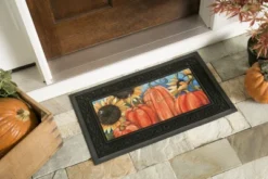 Evergreen Indoor Outdoor Doormat Bundle Set Of 5 - Frame And 4 Welcome Seasonal Inserts Spring Summer Fall And Winter -Evergreen Store GUEST 3e82b998 2b7b 4659 b7c7 2b8de38ee1ec