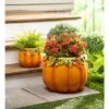 Evergreen Plow & Hearth Indoor/Outdoor Fall Orange Pumpkin Planters In Weather-Safe Resin With Drain Hole, Set Of 2, 8" Dia. X 6"H And 15" Dia. X 12"H 1 Evergreen Plow & Hearth Indoor/Outdoor Fall Orange Pumpkin Planters In Weather-Safe Resin With Drain Hole, Set Of 2, 8" Dia. X 6"H And 15" Dia. X 12"H -Evergreen Store GUEST 54ea70ee cec0 48d0 9f2e 4bedd7051353