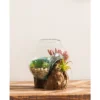 Evergreen Beautiful Springtime Small Glass Planter On Driftwood Outdoor Decor - 7 X 6 X 6 Inches Fade And Weather Resistant Decoration -Evergreen Store GUEST 559c8b79 0b88 42e0 9d83 ec740f82d339