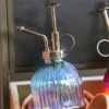 Evergreen Iridescent Ombre Glass Plant Mister, Blue For Indoor Outdoor Gardens -Evergreen Store GUEST a668e5f8 96b0 4315 bbf6 be4ec788907a