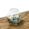 Evergreen Glass Planter On Driftwood -Evergreen Store GUEST a882a762 2e3a 4b2a 83c1 60f6acd8c2c1