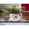 Evergreen Indoor/Outdoor Cardinal Teacup Planter With Saucer -Evergreen Store GUEST ba9250e8 c54b 4303 a899 b6452d03e77e
