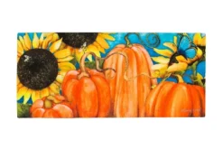 Evergreen Indoor Outdoor Doormat Bundle Set Of 5 - Frame And 4 Welcome Seasonal Inserts Spring Summer Fall And Winter -Evergreen Store GUEST c3c21e44 9c88 4c11 b215 b0f0786193ea